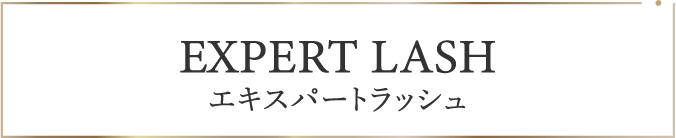 エキスパートラッシュ