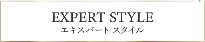 エキスパート スタイル