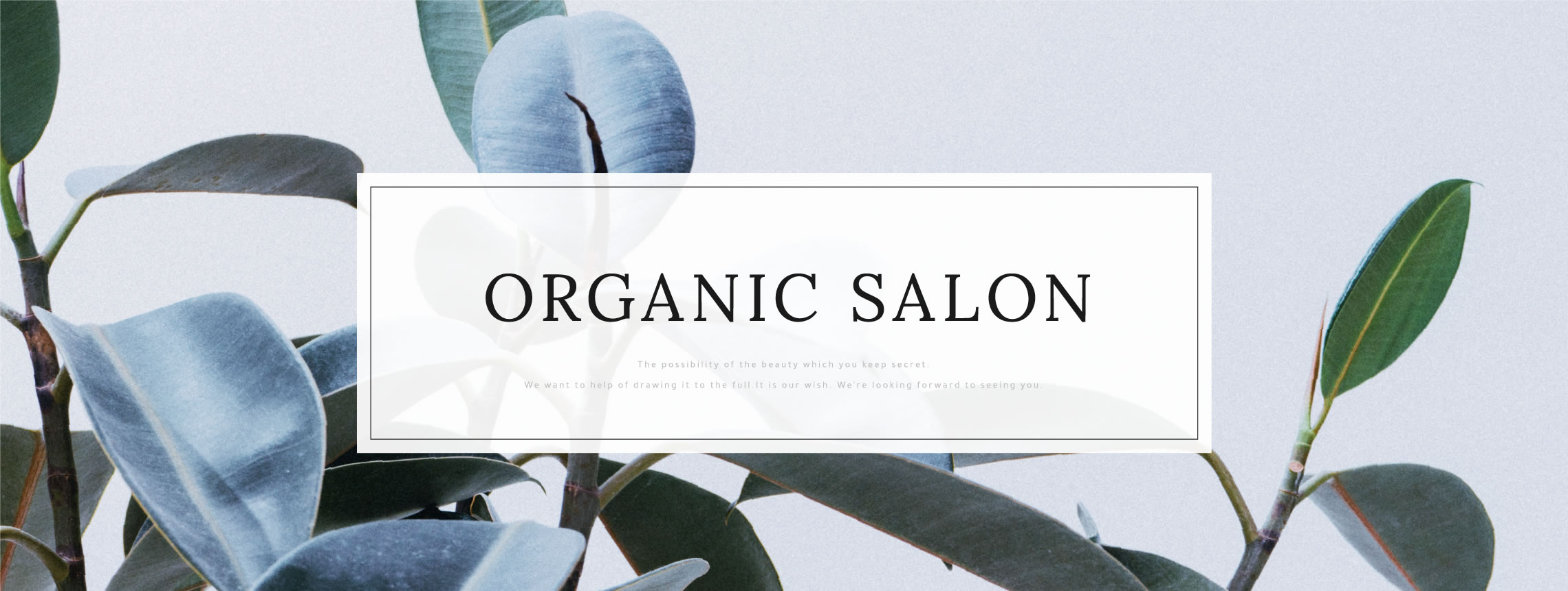 ORGANIC SALON