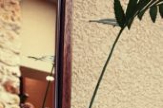 乾燥したくない!!