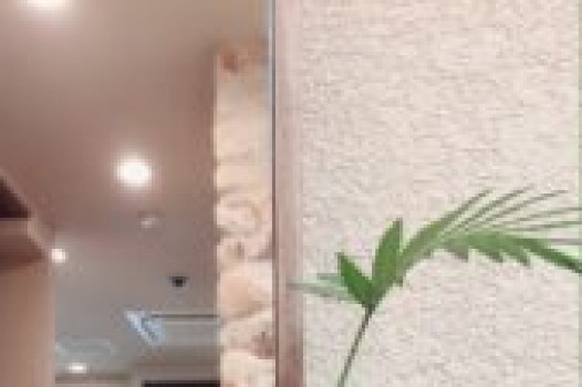 ショートやメンズスタイルにオススメ!