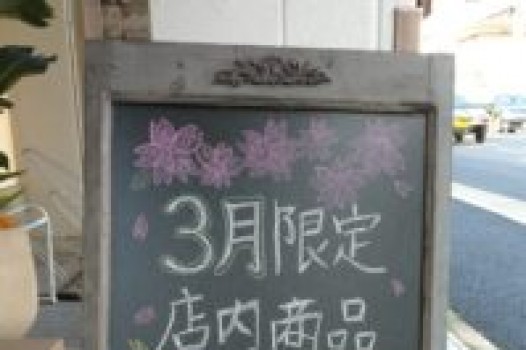 今月のキャンペーン!