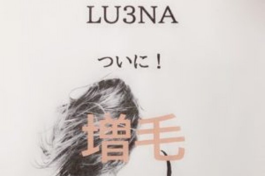 4月末に向けて、動いております!