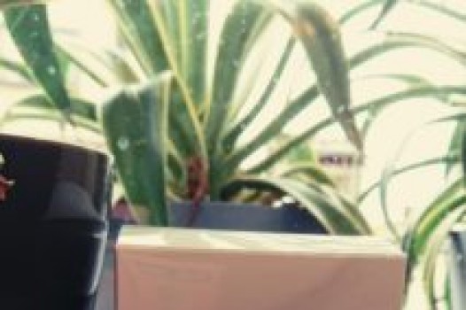 夏バテは秋にやってくる!!