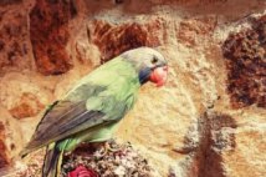 10月の定休日 ご案内です