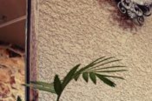 12月定休日のご案内です