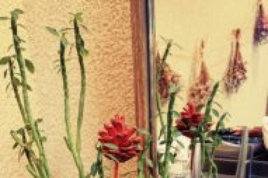 4月の定休日 ご案内です