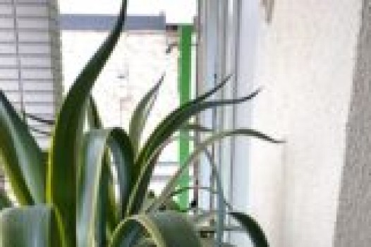 6月の定休日のご案内