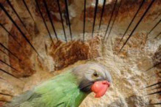 ルミナがっ……!!ついに!!!!