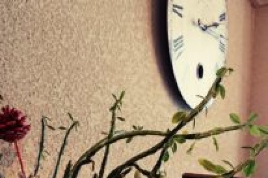 7月の定休日 ご案内です