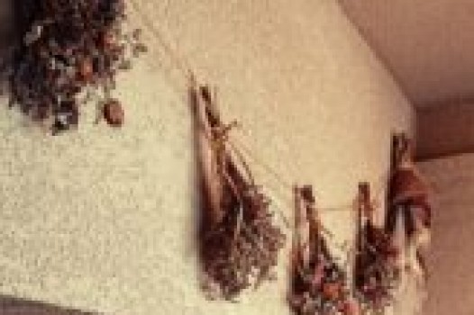 8月定休日のご案内です