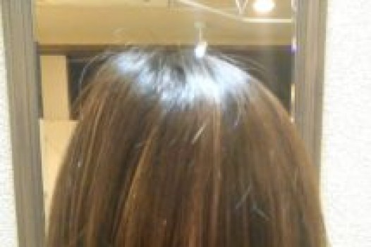 スタイルチェンジしました!