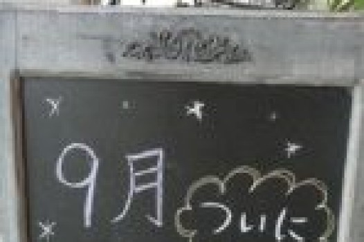 ついにプレオープンです!!