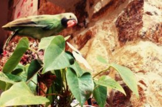 10月の定休日のご案内です