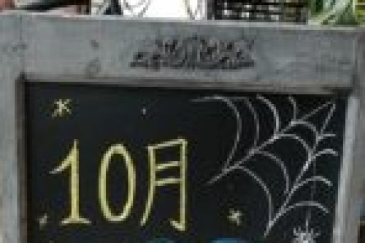 ついにグランドオープン!