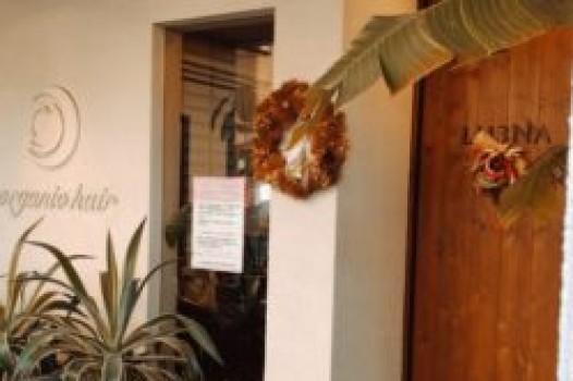 2022年最初のブログ!!と2月の定休日のご案内です