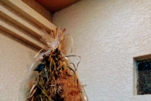 4月の定休日のご案内です