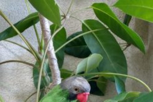 皆様お待たせいたしました!