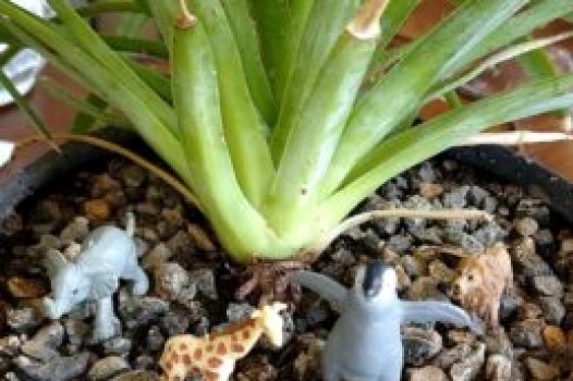 エステボディメニュー始まりました!