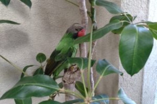 9月の定休日 ご案内です