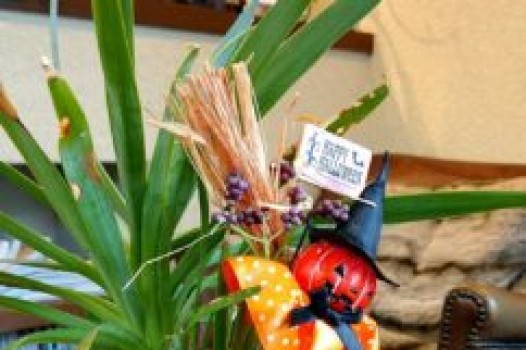 私のお気に入りアイテム!