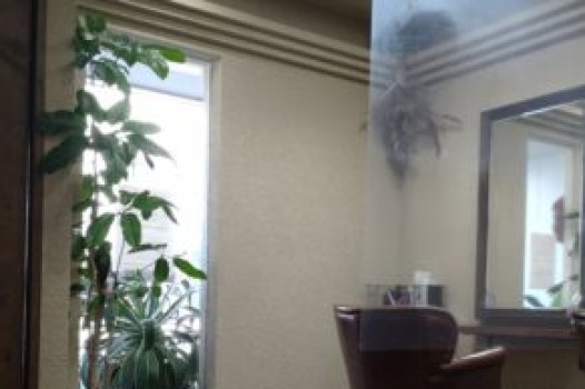 12月の定休日 ご案内です