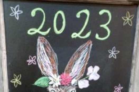 先日誕生日でした!