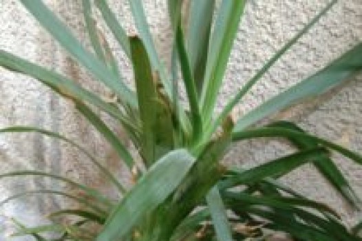 4月の定休日 ご案内です