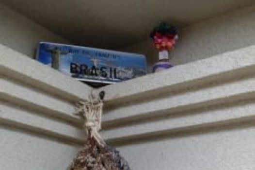 5月の定休日のご案内です