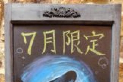 キャンペーン開催中!