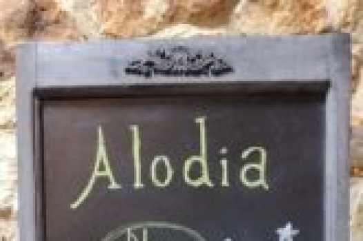 Newフレーバー出ました!