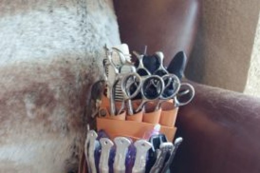 Newシザーケースです!