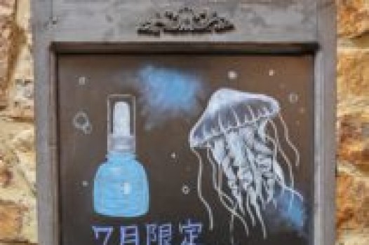 キャンペーン始まりました!