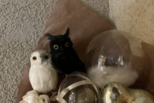 9月定休日のご案内です