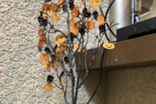 10月定休日のご案内です