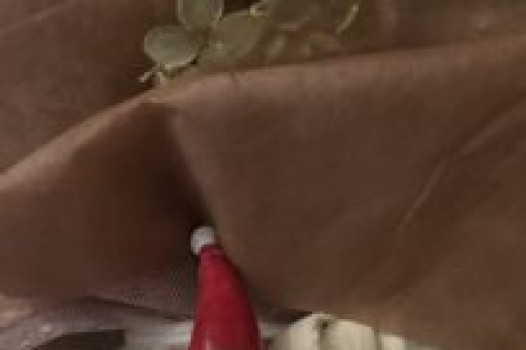 12月定休日のご案内です