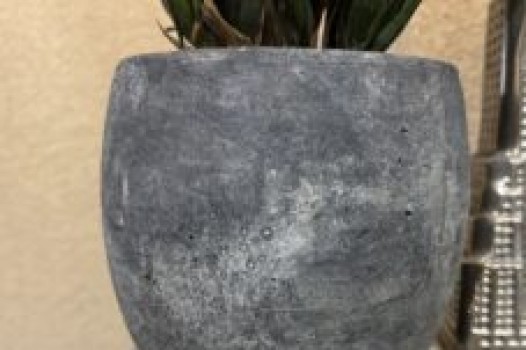 2月の定休日のご案内です