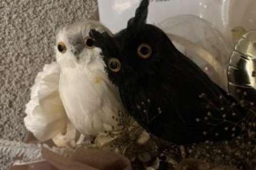 4月の定休日のご案内です