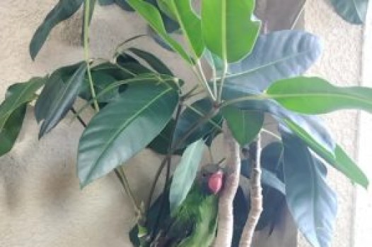 キャンペーン始まりました!