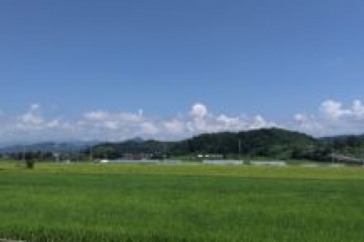 9月定休日のお知らせ