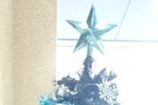 1月定休日のご案内