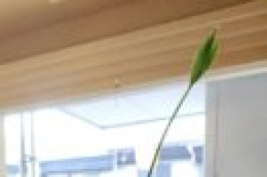 7月定休日のお知らせ